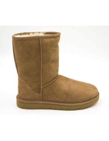 BOTA MUJER BOTA MUJER UGG CLASSIC SHORT